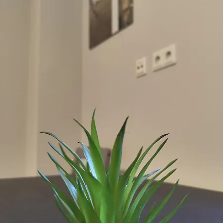 For 3 Guests